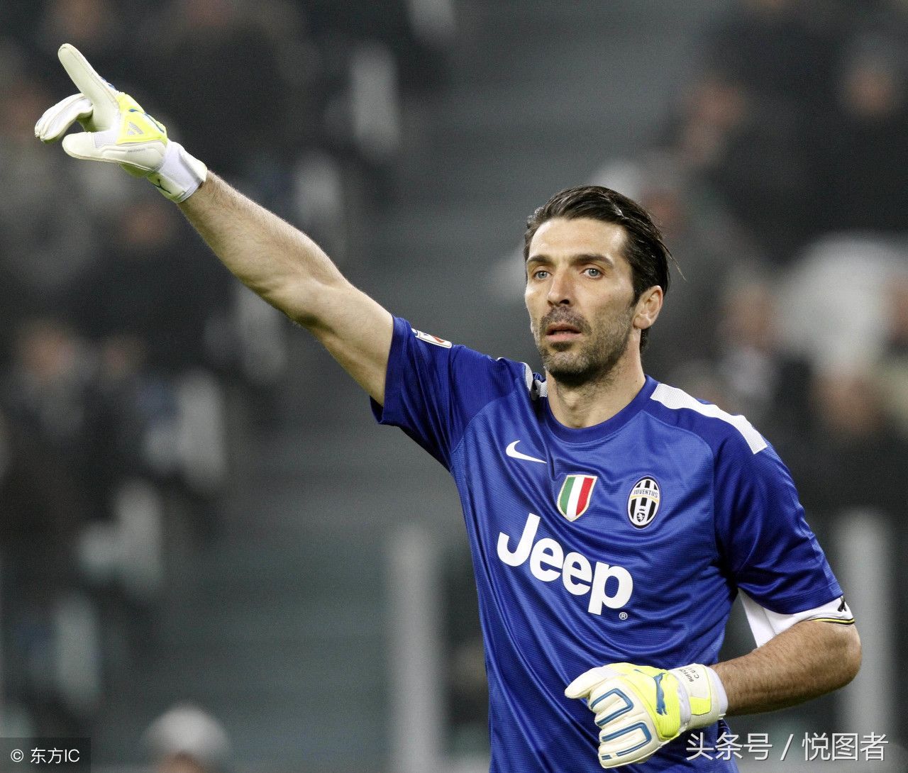 经纪人采取 经纪人采取