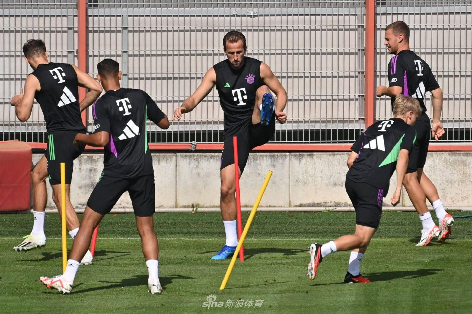 情与斗志依 情与斗志依